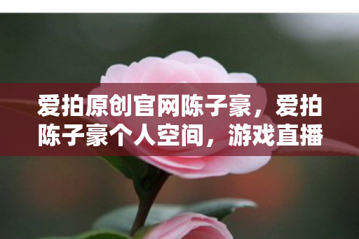 爱拍原创官网陈子豪,爱拍陈子豪个人空间,游戏直播的璀璨之星 爱拍原创官网陈子豪,爱拍陈子豪个人空间,游戏直播的璀璨之星