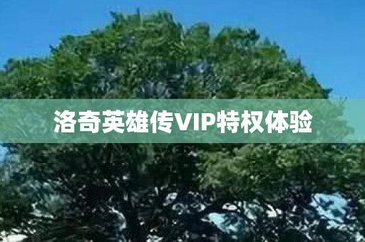 洛奇英雄传VIP特权体验