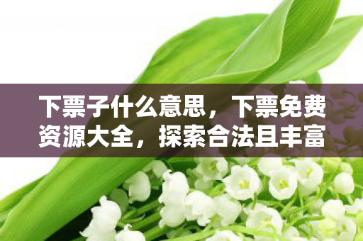 下票子什么意思,下票免费资源大全,探索合法且丰富的免费资源世界 下票子什么意思,下票免费资源大全,探索合法且丰富的免费资源世界