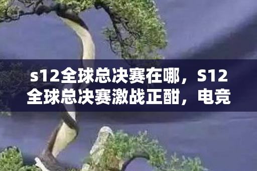 s12全球总决赛在哪,S12全球总决赛激战正酣,电竞盛宴点燃全球热情 s12全球总决赛在哪,S12全球总决赛激战正酣,电竞盛宴点燃全球热情