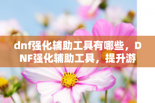 dnf强化辅助工具有哪些,DNF强化辅助工具,提升游戏效率,助力玩家成长 dnf强化辅助工具有哪些,DNF强化辅助工具,提升游戏效率,助力玩家成长