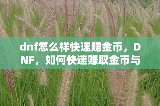 dnf怎么样快速赚金币，DNF，如何快速赚取金币与资源
