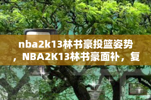 nba2k13林书豪投篮姿势,NBA2K13林书豪面补,复刻经典,再现传奇 nba2k13林书豪投篮姿势,NBA2K13林书豪面补,复刻经典,再现传奇