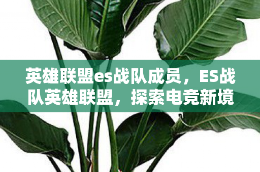 英雄联盟es战队成员,ES战队英雄联盟,探索电竞新境界 英雄联盟es战队成员,ES战队英雄联盟,探索电竞新境界