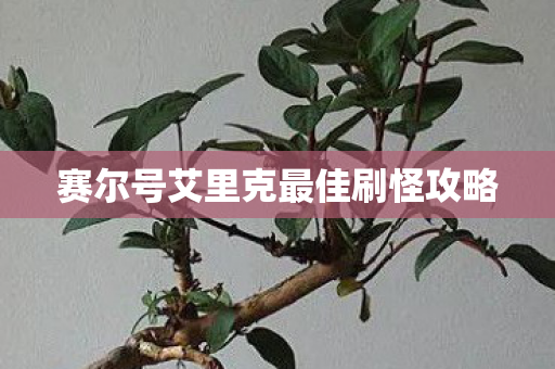 赛尔号艾里克最佳刷怪攻略 赛尔号艾里克最佳刷怪攻略