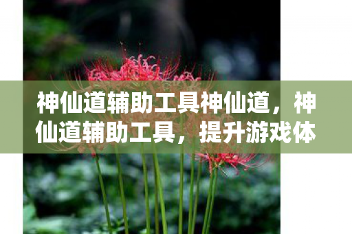 神仙道辅助工具神仙道,神仙道辅助工具,提升游戏体验的得力助手 神仙道辅助工具神仙道,神仙道辅助工具,提升游戏体验的得力助手