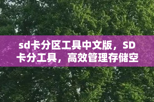 sd卡分区工具中文版,SD卡分工具,高效管理存储空间的利器 sd卡分区工具中文版,SD卡分工具,高效管理存储空间的利器