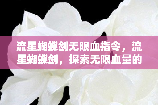 流星蝴蝶剑无限血指令,流星蝴蝶剑,探索无限血量的奥秘 流星蝴蝶剑无限血指令,流星蝴蝶剑,探索无限血量的奥秘