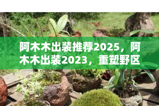 阿木木出装推荐2025,阿木木出装2023,重塑野区霸主的辉煌 阿木木出装推荐2025,阿木木出装2023,重塑野区霸主的辉煌