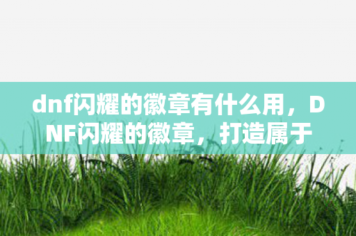 dnf闪耀的徽章有什么用,DNF闪耀的徽章,打造属于你的荣耀徽章 dnf闪耀的徽章有什么用,DNF闪耀的徽章,打造属于你的荣耀徽章