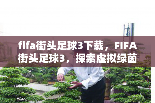 fifa街头足球3下载,FIFA街头足球3,探索虚拟绿茵场的无限可能 fifa街头足球3下载,FIFA街头足球3,探索虚拟绿茵场的无限可能