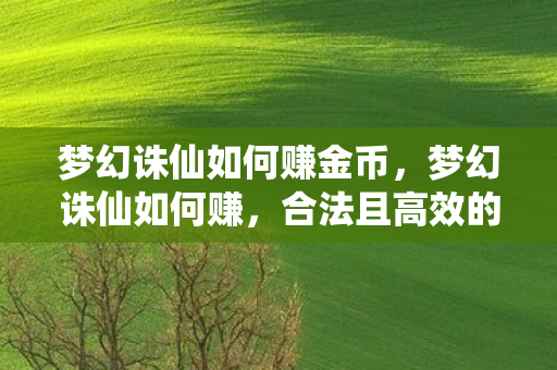 梦幻诛仙如何赚金币,梦幻诛仙如何赚,合法且高效的赚钱攻略 梦幻诛仙如何赚金币,梦幻诛仙如何赚,合法且高效的赚钱攻略