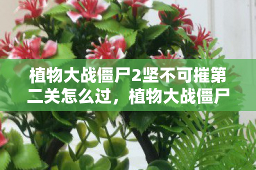 植物大战僵尸2坚不可摧第二关怎么过,植物大战僵尸2,坚不可摧的第二篇章 植物大战僵尸2坚不可摧第二关怎么过,植物大战僵尸2,坚不可摧的第二篇章