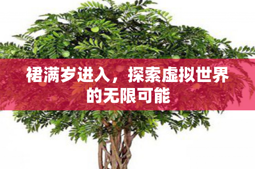 裙满岁进入,探索虚拟世界的无限可能 裙满岁进入,探索虚拟世界的无限可能