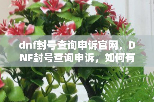 dnf封号查询申诉官网，DNF封号查询申诉，如何有效维护自身权益