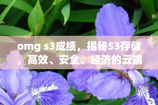omg s3成绩,揭秘S3存储,高效、安全、经济的云端存储解决方案 omg s3成绩,揭秘S3存储,高效、安全、经济的云端存储解决方案