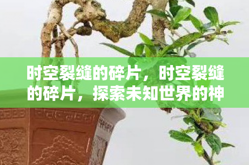 时空裂缝的碎片，时空裂缝的碎片，探索未知世界的神秘钥匙