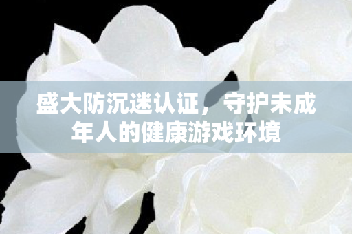 盛大防沉迷认证,守护未成年人的健康游戏环境 盛大防沉迷认证,守护未成年人的健康游戏环境