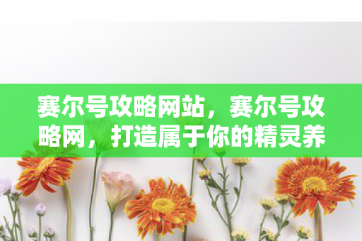 赛尔号攻略网站，赛尔号攻略网，打造属于你的精灵养成计划