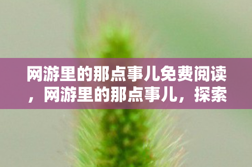 网游里的那点事儿免费阅读，网游里的那点事儿，探索虚拟世界的无限可能