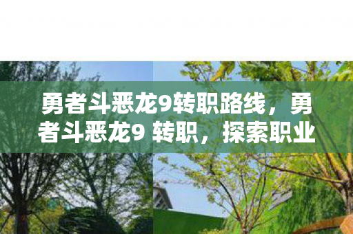 勇者斗恶龙9转职路线,勇者斗恶龙9 转职,探索职业转变的无限可能 勇者斗恶龙9转职路线,勇者斗恶龙9 转职,探索职业转变的无限可能