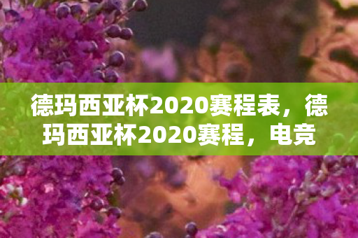 德玛西亚杯2020赛程表，德玛西亚杯2020赛程，电竞盛宴的激情与荣耀