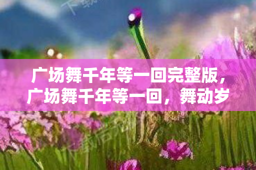 广场舞千年等一回完整版,广场舞千年等一回,舞动岁月的旋律,连接心灵的桥梁 广场舞千年等一回完整版,广场舞千年等一回,舞动岁月的旋律,连接心灵的桥梁