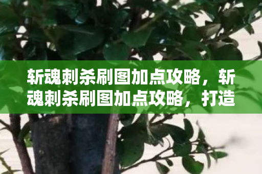 斩魂刺杀刷图加点攻略,斩魂刺杀刷图加点攻略,打造高效战斗体验 斩魂刺杀刷图加点攻略,斩魂刺杀刷图加点攻略,打造高效战斗体验