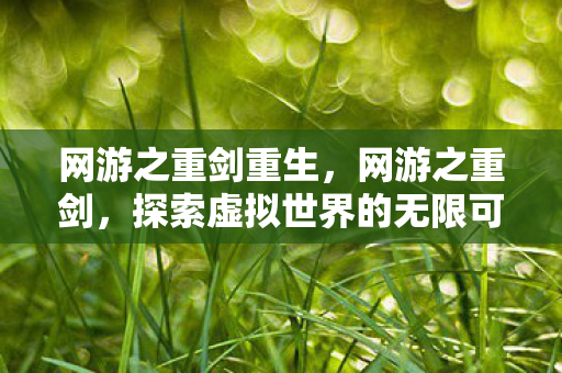 网游之重剑重生，网游之重剑，探索虚拟世界的无限可能