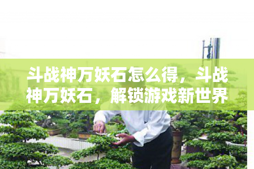 斗战神万妖石怎么得,斗战神万妖石,解锁游戏新世界的神秘钥匙 斗战神万妖石怎么得,斗战神万妖石,解锁游戏新世界的神秘钥匙