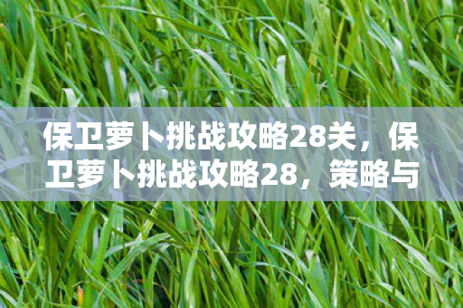 保卫萝卜挑战攻略28关，保卫萝卜挑战攻略28，策略与技巧的深度解析