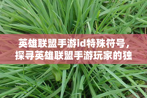 英雄联盟手游id特殊符号,探寻英雄联盟手游玩家的独特ID,个性与策略的碰撞 英雄联盟手游id特殊符号,探寻英雄联盟手游玩家的独特ID,个性与策略的碰撞