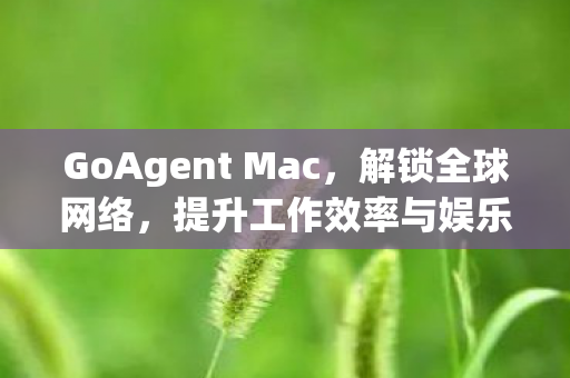 GoAgent Mac,解锁全球网络,提升工作效率与娱乐体验 GoAgent Mac,解锁全球网络,提升工作效率与娱乐体验
