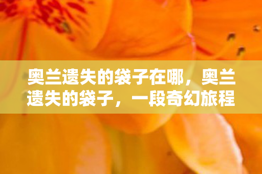 奥兰遗失的袋子在哪,奥兰遗失的袋子,一段奇幻旅程的奇遇 奥兰遗失的袋子在哪,奥兰遗失的袋子,一段奇幻旅程的奇遇