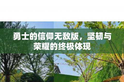 勇士的信仰无敌版,坚韧与荣耀的终极体现 勇士的信仰无敌版,坚韧与荣耀的终极体现