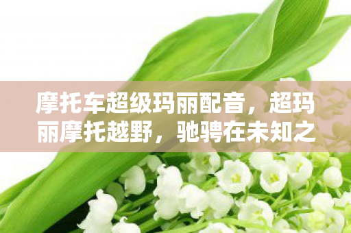 摩托车超级玛丽配音,超玛丽摩托越野,驰骋在未知之路的激情与冒险 摩托车超级玛丽配音,超玛丽摩托越野,驰骋在未知之路的激情与冒险