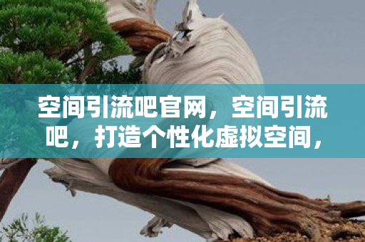 空间引流吧官网，空间引流吧，打造个性化虚拟空间，引领流量新潮流