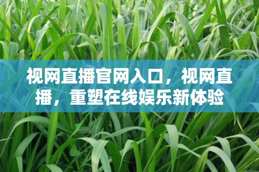 视网直播官网入口,视网直播,重塑在线娱乐新体验 视网直播官网入口,视网直播,重塑在线娱乐新体验