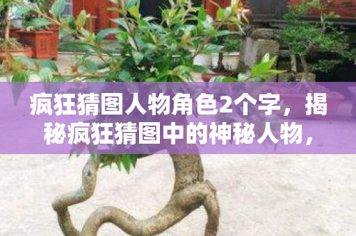 疯狂猜图人物角色2个字，揭秘疯狂猜图中的神秘人物，跨越时空的解谜之旅