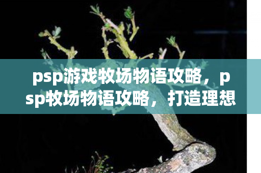 psp游戏牧场物语攻略，psp牧场物语攻略，打造理想牧场的全面指南