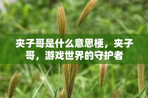 夹子哥是什么意思梗,夹子哥,游戏世界的守护者 夹子哥是什么意思梗,夹子哥,游戏世界的守护者