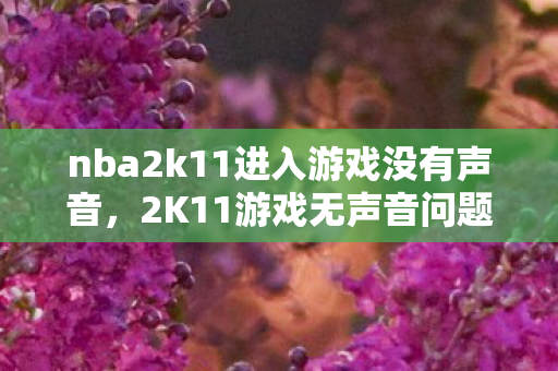 nba2k11进入游戏没有声音,2K11游戏无声音问题解析 nba2k11进入游戏没有声音,2K11游戏无声音问题解析