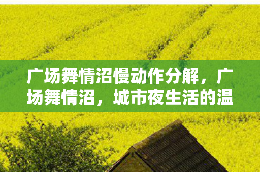 广场舞情沼慢动作分解,广场舞情沼,城市夜生活的温馨篇章 广场舞情沼慢动作分解,广场舞情沼,城市夜生活的温馨篇章