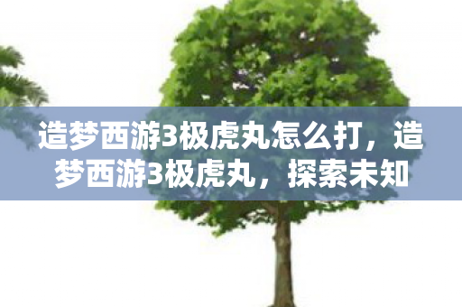 造梦西游3极虎丸怎么打，造梦西游3极虎丸，探索未知世界的奇幻之旅