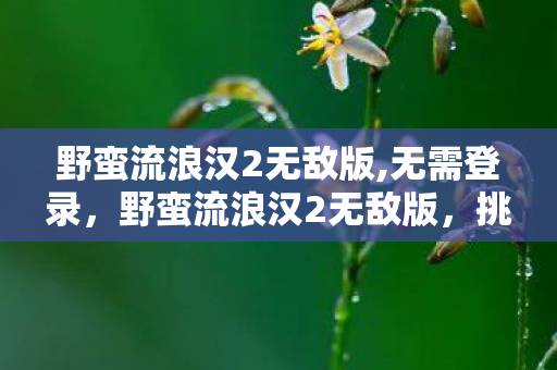 挑战与冒险的极致体验图片