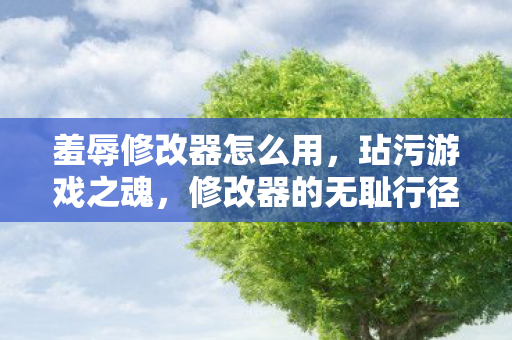 羞辱修改器怎么用，玷污游戏之魂，修改器的无耻行径