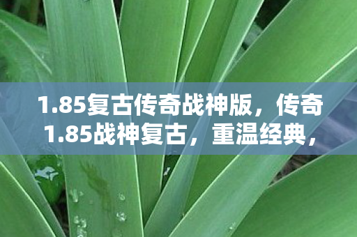 1.85复古传奇战神版,传奇1.85战神复古,重温经典,感受复古魅力 1.85复古传奇战神版,传奇1.85战神复古,重温经典,感受复古魅力