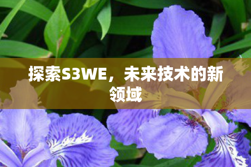 探索S3WE,未来技术的新领域 探索S3WE,未来技术的新领域