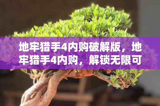 地牢猎手4内购破解版,地牢猎手4内购,解锁无限可能的神秘之旅 地牢猎手4内购破解版,地牢猎手4内购,解锁无限可能的神秘之旅