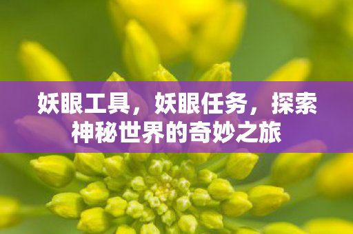 妖眼工具,妖眼任务,探索神秘世界的奇妙之旅 妖眼工具,妖眼任务,探索神秘世界的奇妙之旅